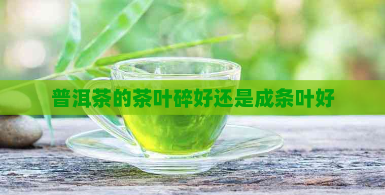 普洱茶的茶叶碎好还是成条叶好