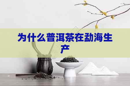 为什么普洱茶在勐海生产