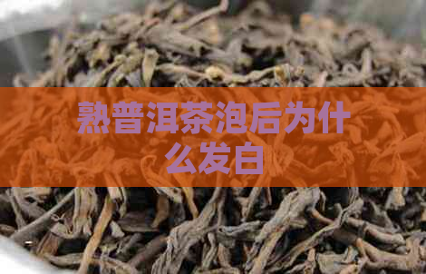 熟普洱茶泡后为什么发白