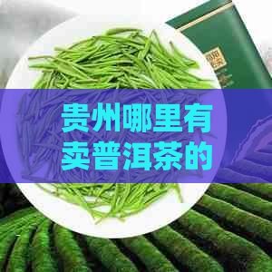 贵州哪里有卖普洱茶的