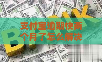 支付宝逾期快两个月了怎么解决