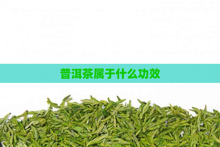 普洱茶属于什么功效