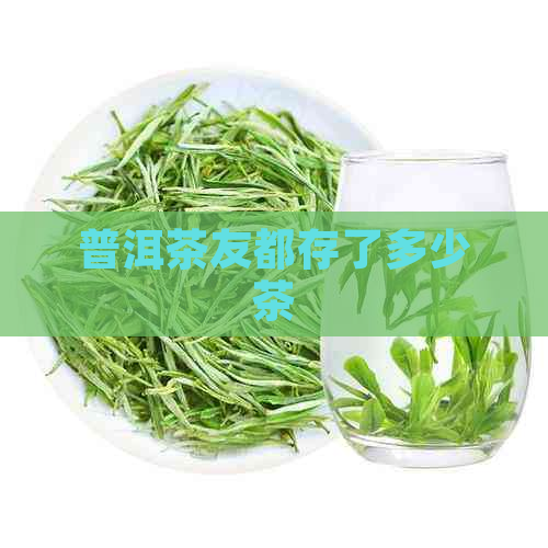 普洱茶友都存了多少茶