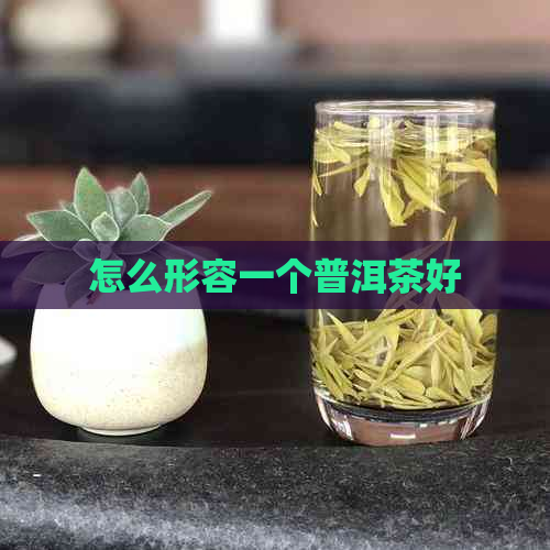 怎么形容一个普洱茶好