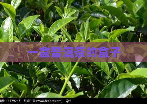 一盒普洱茶的盒子