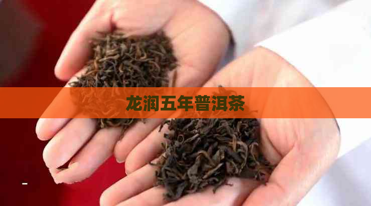 龙润五年普洱茶