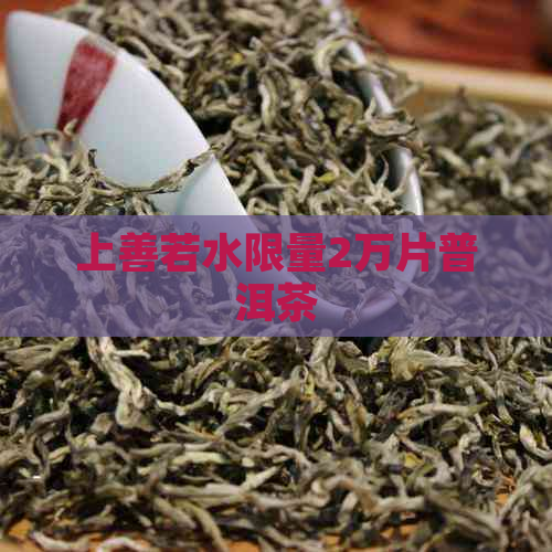 上善若水限量2万片普洱茶