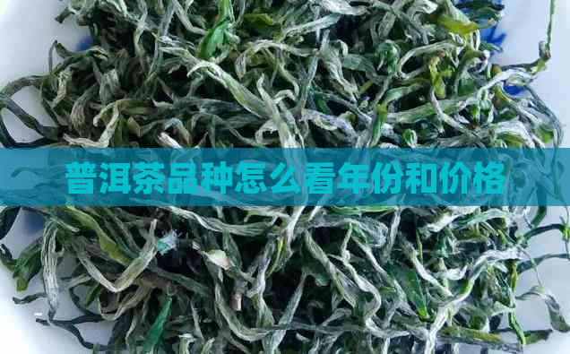 普洱茶品种怎么看年份和价格