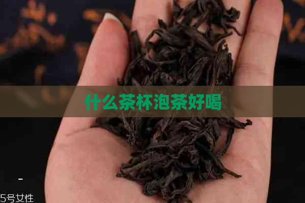 什么茶杯泡茶好喝