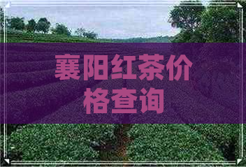 襄阳红茶价格查询