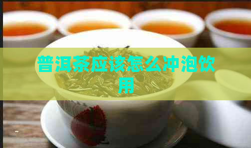 普洱茶应该怎么冲泡饮用