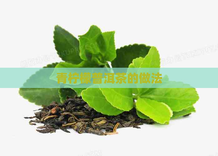 青柠檬普洱茶的做法