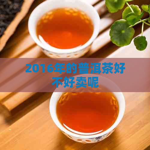 2016年的普洱茶好不好卖呢