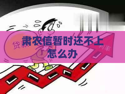 肃农信暂时还不上怎么办