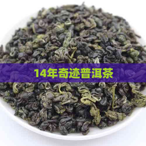 14年奇迹普洱茶