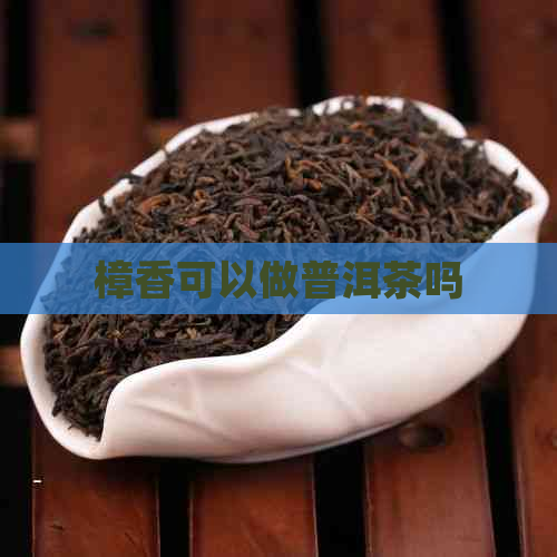 樟香可以做普洱茶吗