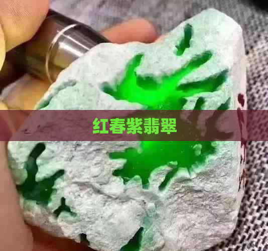 红春紫翡翠