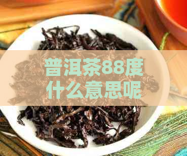 普洱茶88度什么意思呢