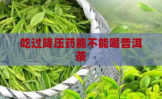 吃过降压药能不能喝普洱茶