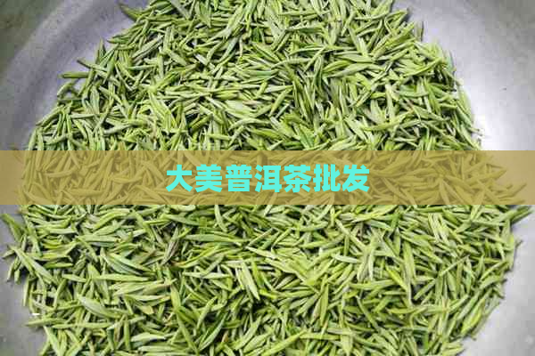 大美普洱茶批发