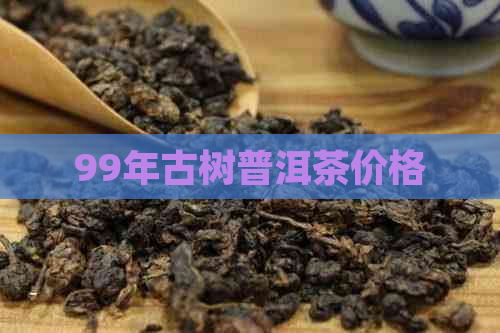 99年古树普洱茶价格