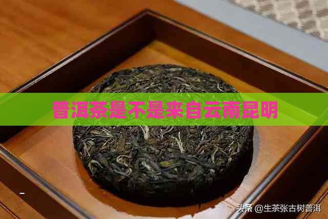 普洱茶是不是来自云南昆明