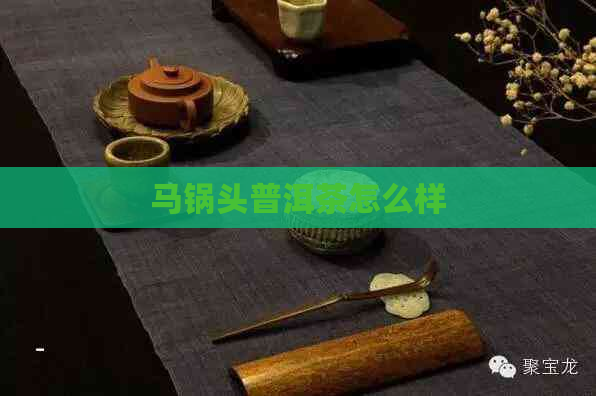 马锅头普洱茶怎么样