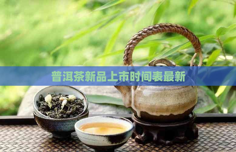 普洱茶新品上市时间表最新