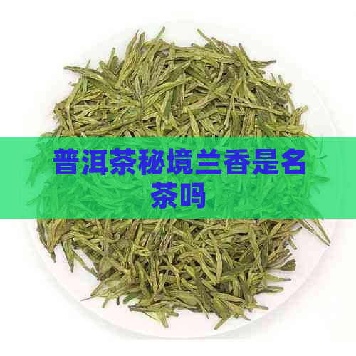 普洱茶秘境兰香是名茶吗