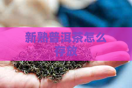 新熟普洱茶怎么存放