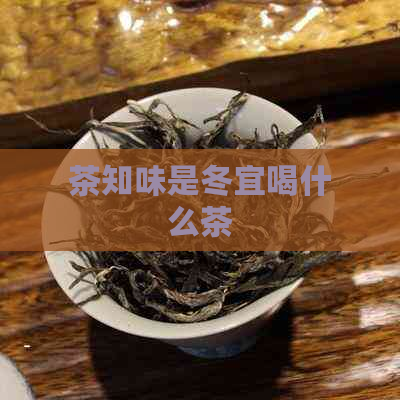 茶知味是冬宜喝什么茶