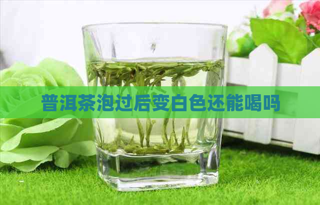 普洱茶泡过后变白色还能喝吗