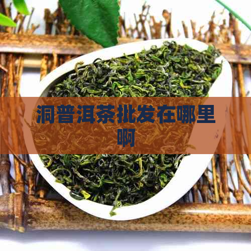 洞普洱茶批发在哪里啊