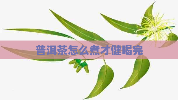 普洱茶怎么煮才健喝完