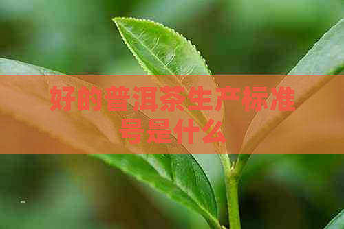 好的普洱茶生产标准号是什么