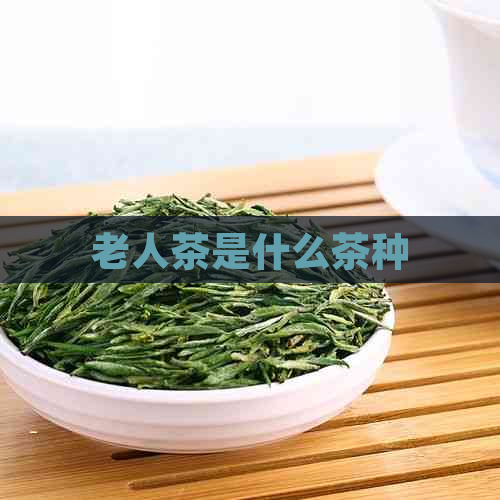 老人茶是什么茶种