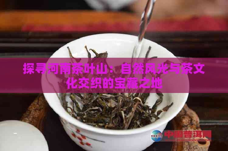 探寻河南茶叶山：自然风光与茶文化交织的宝藏之地