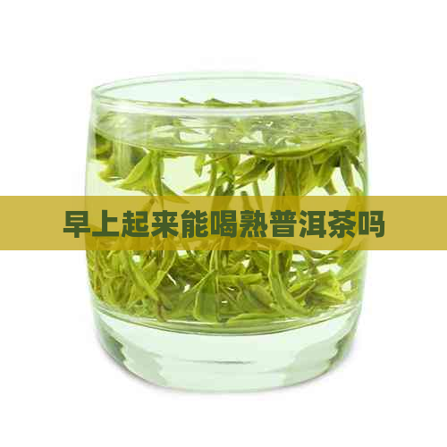 早上起来能喝熟普洱茶吗