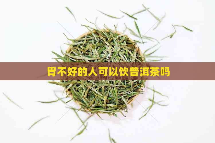 胃不好的人可以饮普洱茶吗