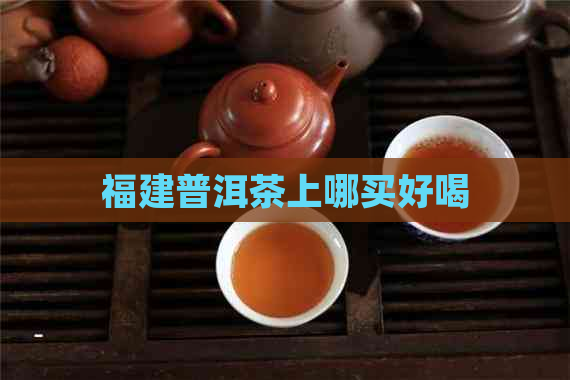 福建普洱茶上哪买好喝