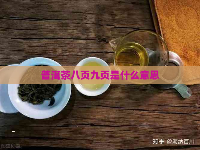 普洱茶八页九页是什么意思