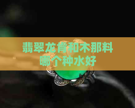 翡翠龙肯和木那料哪个种水好