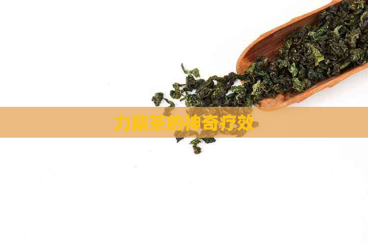 力鼎茶的神奇疗效