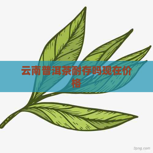 云南普洱茶耐存吗现在价格