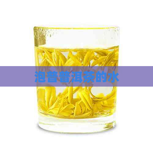 泡普普洱茶的水