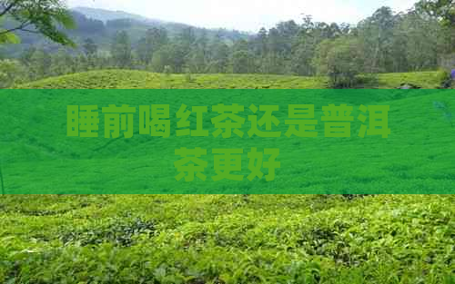 睡前喝红茶还是普洱茶更好