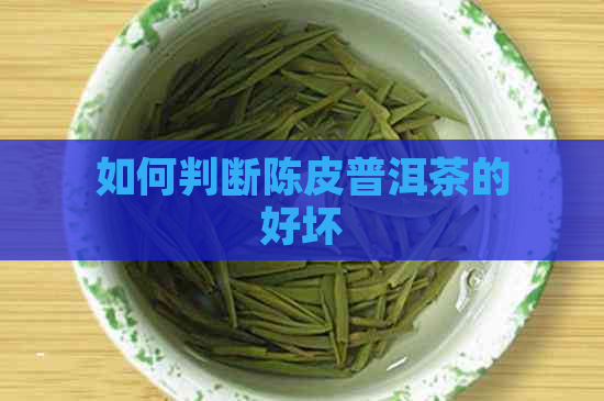 如何判断陈皮普洱茶的好坏