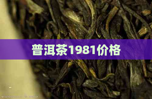 普洱茶1981价格