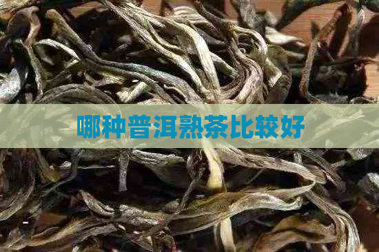 哪种普洱熟茶比较好