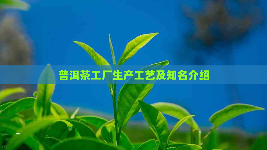 普洱茶工厂生产工艺及知名介绍